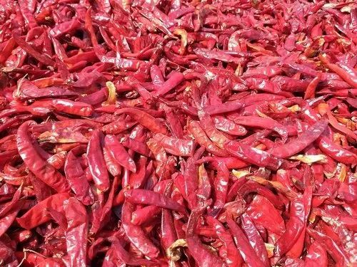 Sun Dry Red Chilli