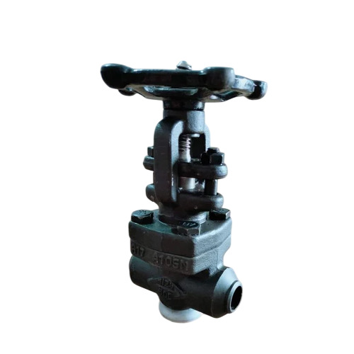 F S Globe Gate Check Valve