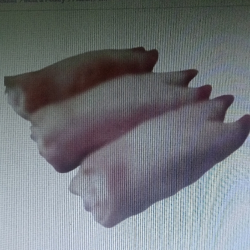 Frozen pork