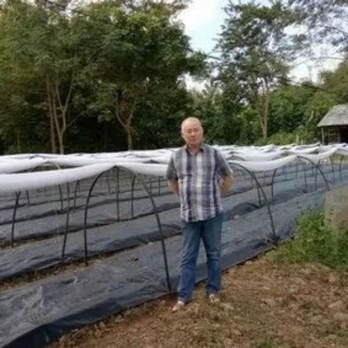 Crop Cover - Color: Available In Various Color