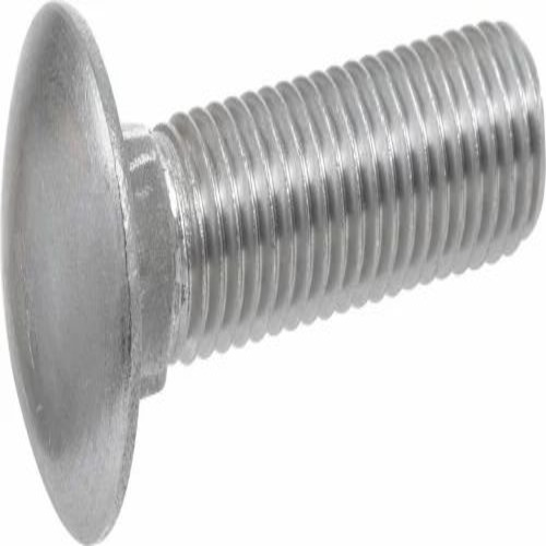 Ss Carriage Bolt
