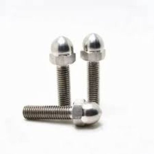 Ss Dome Bolt