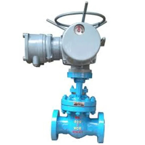 Motorized Gate Valve