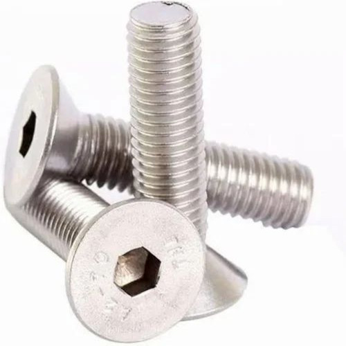 Ss Allen Csk Screw