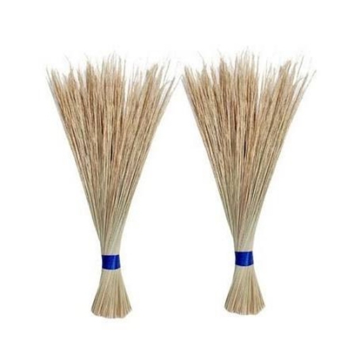 Coconut Leaf Stick Brooms