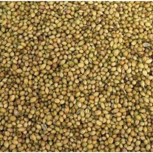 Coriander Seed By Sai International