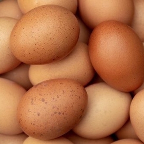 Healthy And Natural Eggs