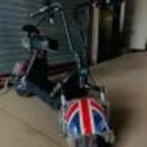 Mini-Coco Lithium Battery Bike