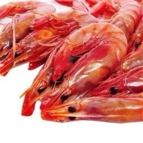 Prawns