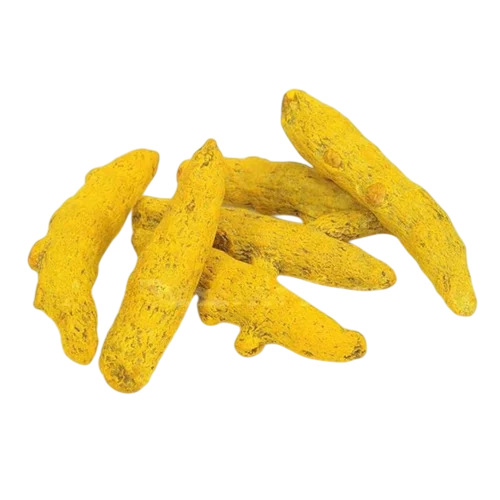 Salem Turmeric Finger
