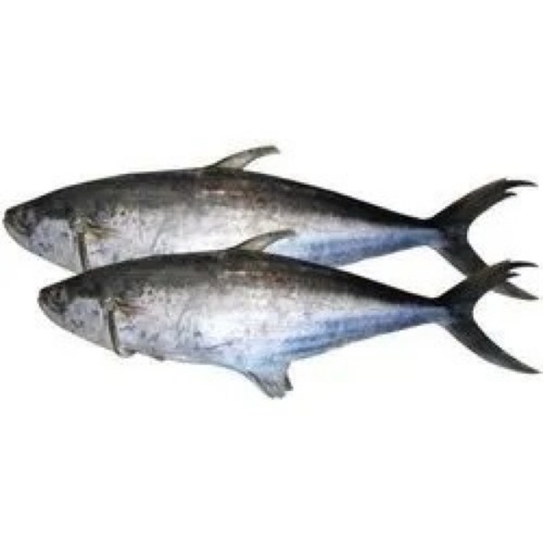 Silver Fresh Fish