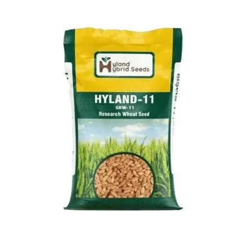 Wheat Seeds