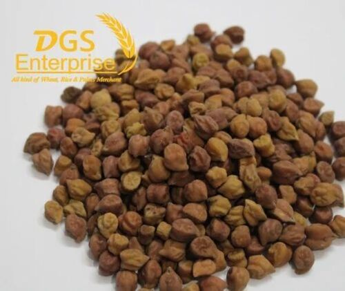 Black Big Size Chana