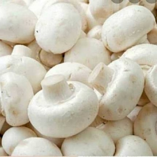 Button Mushroom