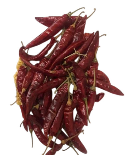 Dry Red Chilli