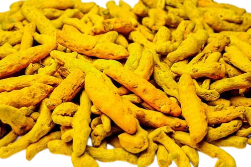 Dry Turmeric Finger