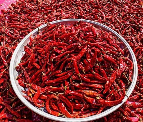 Natural Dry Red Chilli