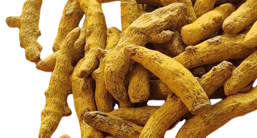 Nizamabad Single Polished Turmeric Finger