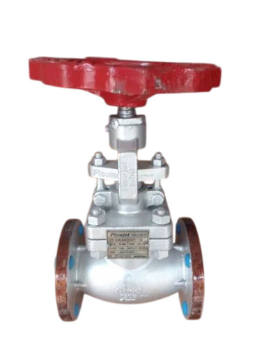 Cs Globe Valve