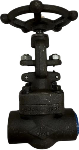 Forged Globe Valve