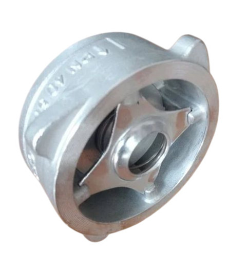 Ss Disc Check Valve