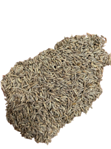 Cumin Seed
