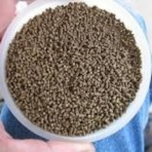 Shrimp Feed