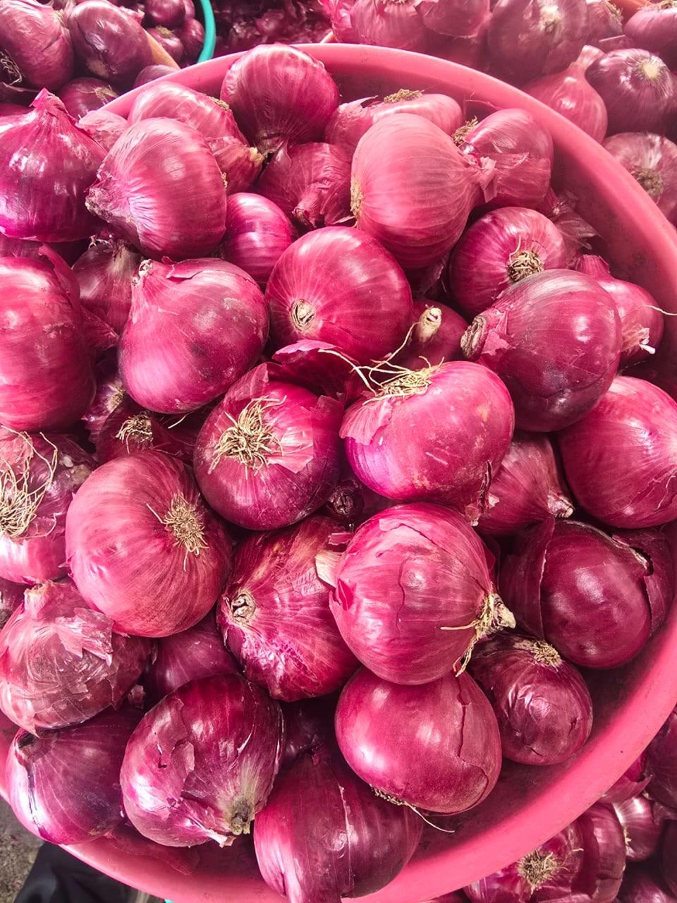 Fresh Red Onion - Packaging Size: 500