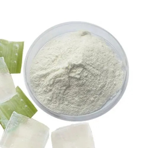Aloe Vera Gel Powder