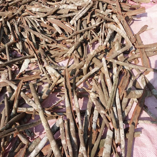 Brown Cinnamon Dalchini