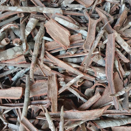 Cinnamon Dalchini