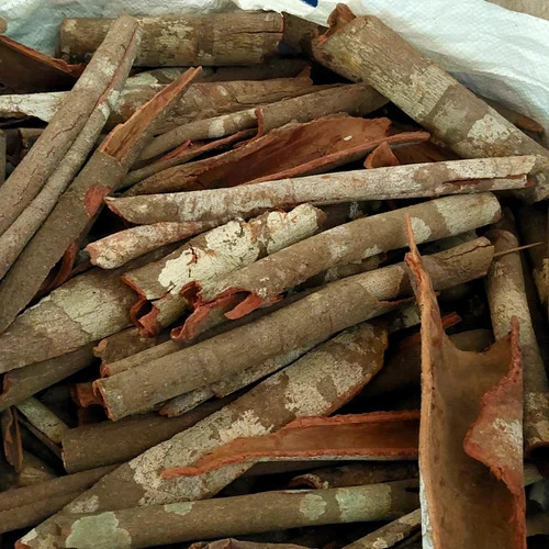Cinnamon Dalchini Stick
