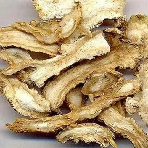 Dried Angelica Root