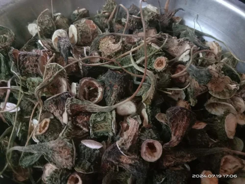 Dried Bitter Gourd