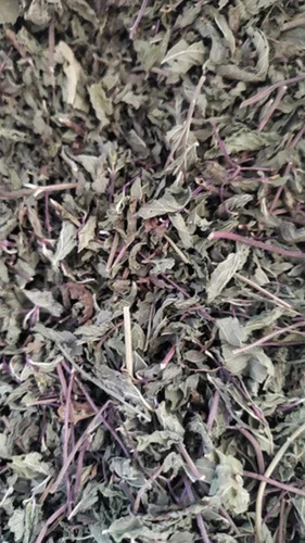 Dried Mint Leaves