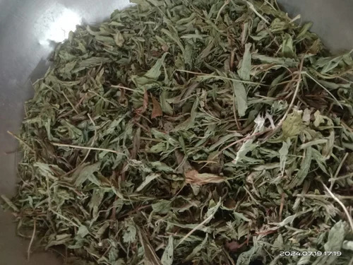 Dried Stevia Leaf