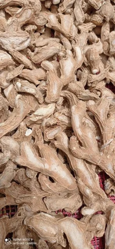 Dry Ginger