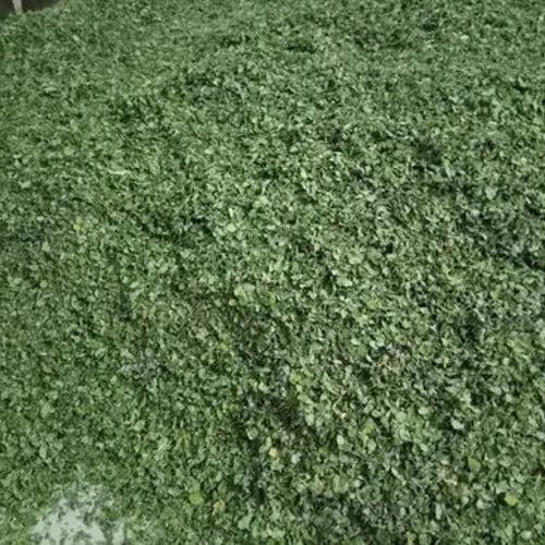 Dry Moringa Leaves