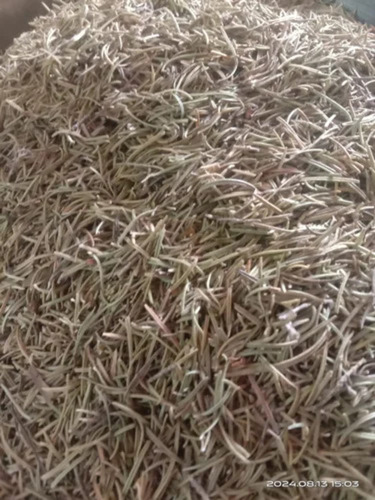 Dry Rosemary Leaves