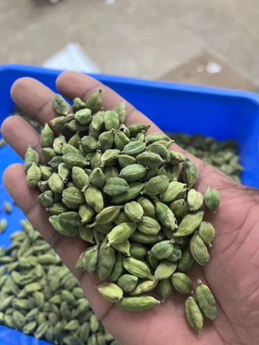 Fresh Cardamom
