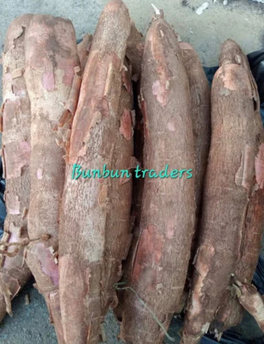 Fresh Loose Cassava Root