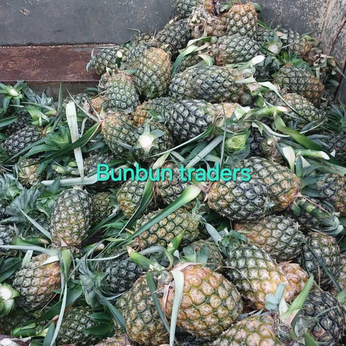 Fresh Pineapple Fruit