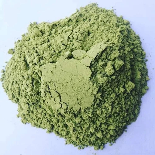 Green Moringa Leaf Powder By Pravansh Biosciences Private Limited