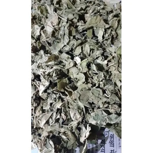 Gymnema Sylvestre Leaves