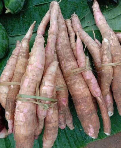 Root Vegetables