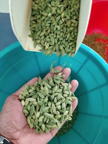 Natural Green Cardamom