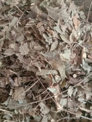 Neem Leaves Powder