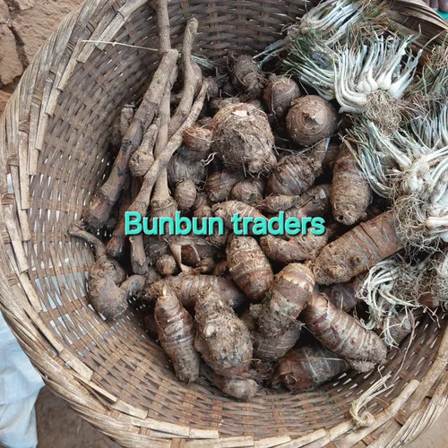 Organic Taro Root