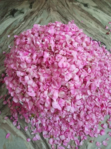 Pink Dry Rose Petals