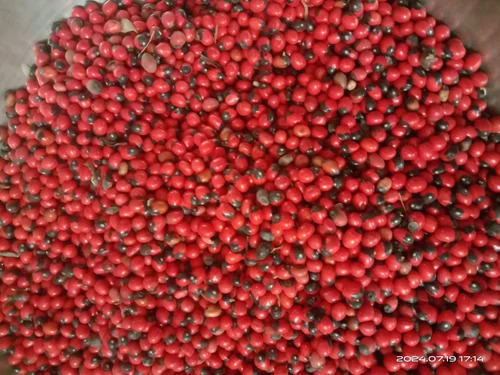Red Chirmi Seeds